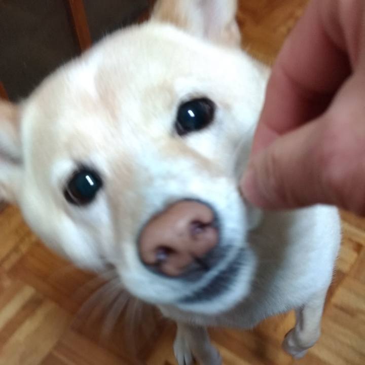 8e094da5 87ca 4612 ae4a 3e279ae78f6c 1607986280207