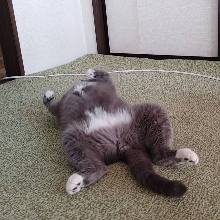 8e095382 8204 476c 88cf 00ea23f1b5af 1723461499626