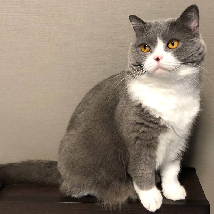 8e09605f 1e43 4f26 b6f9 6932ffdb641a 1525008231207