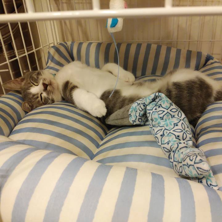 8e096f07 0582 469c a43e 92b3f7ab0210 1565355126879