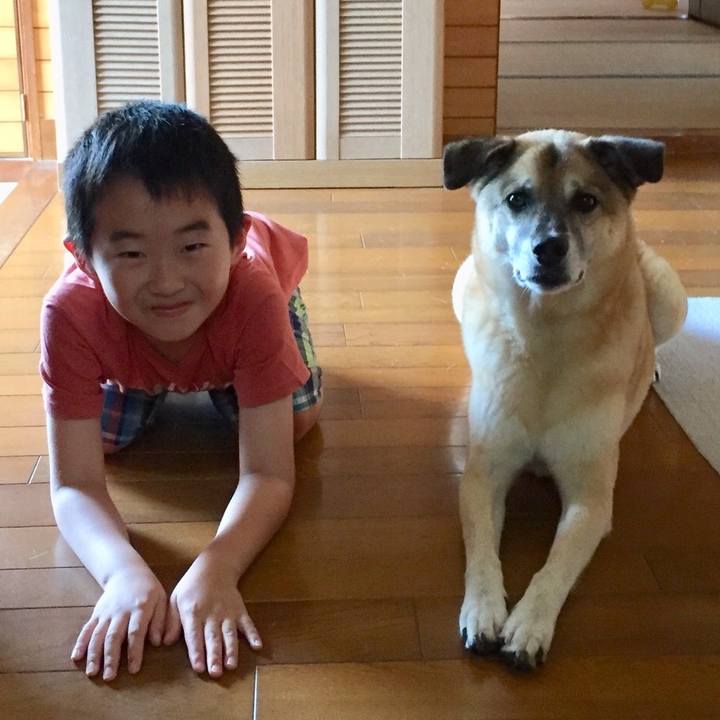 8e097307 42c4 41d9 af42 5cb94056f0c1 1534304210390