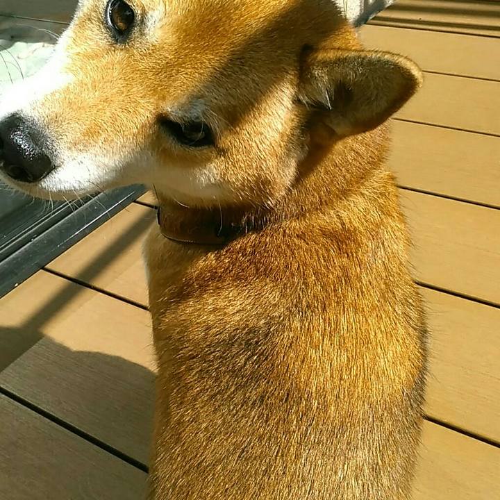 8e099af5 a0ae 4da3 b11d a1bc56eabeea 1540347836372