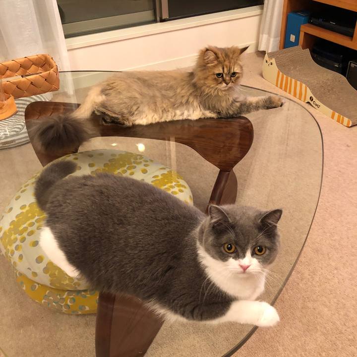 8e099db0 1511 47a8 81fd 1a6ee001145e 1528716199772