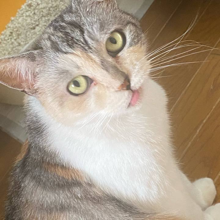 8e09a861 36fe 4d7b 988e b5e80d83412b 1622865679522