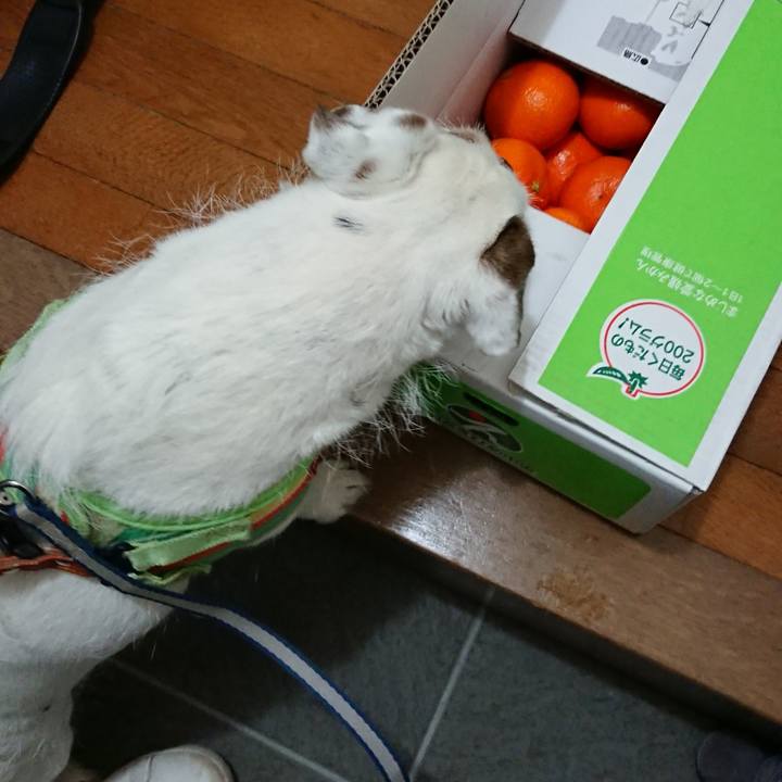 8e09ab37 6c45 4c15 bade 6622970ce77b 1548632472946