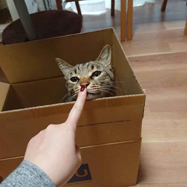 8e09e752 7837 4666 8b24 08558d9e5a1b 1577669707711