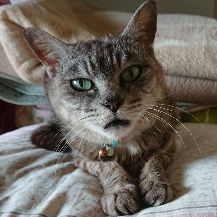 8e09f39d 4929 4ce0 810c 2562ec982d39 1565588984004