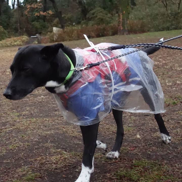 8e0a13c5 ce65 4989 bcd8 8d9fd3e0f343 1611445594181