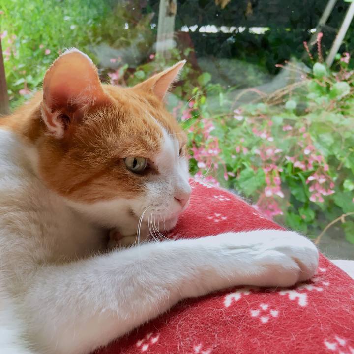 8e0a15a8 caec 4c6d 8c17 dea693b8f406 1568603832180