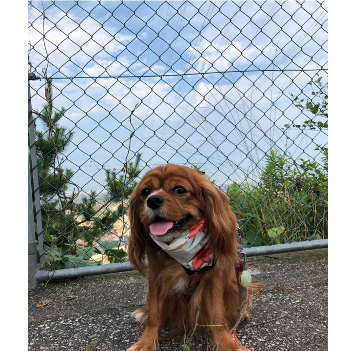 8e0a65ab 2139 461d 89c7 982ecf3e5a85 1595369477889