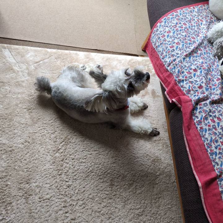 8e0ad70e ac17 48d6 b2d6 25dc2d8169c2 1756193429142