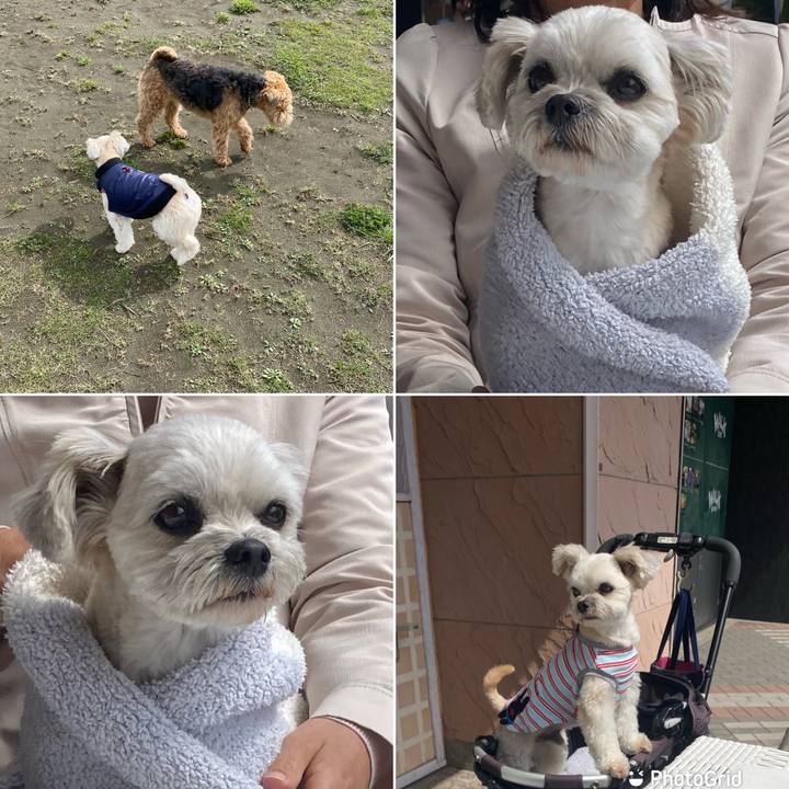 8e0ae68e ef73 46dd bd76 b315a983cb2b 1647756017080