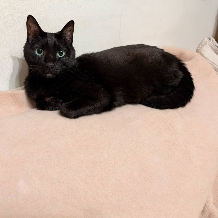 8e0af9e8 cd07 4868 aeef 9150c103c7a0 1764975230332