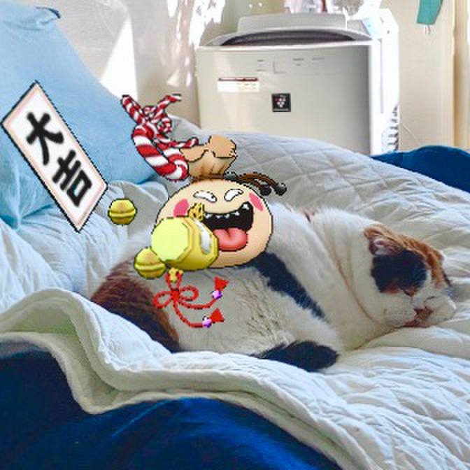 8e0b1609 cc28 4c43 a54d 6b64229f06a8 1578625080632