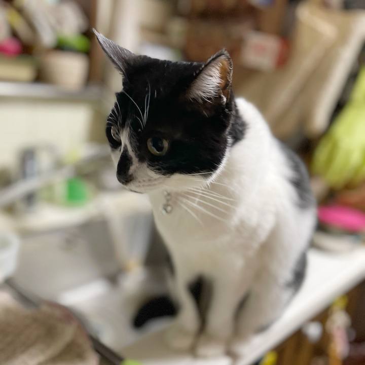 8e0b1b40 093f 48fa aaa2 766e57ae305f 1768777281764