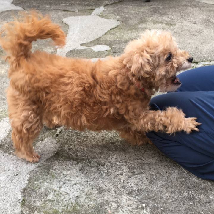 8e0b4088 b401 4511 9fc0 f66d9d6585bc 1518686096212