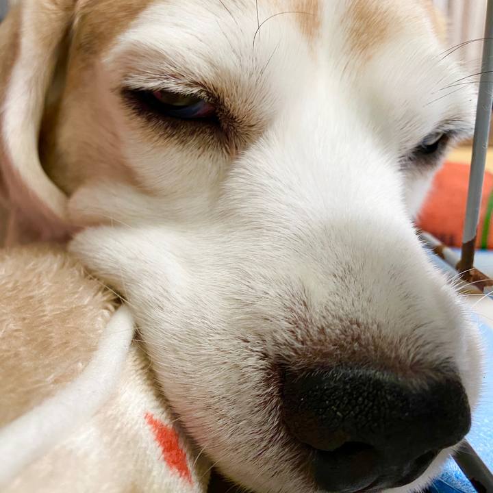 8e0b436c 7105 4e40 b33d ac261f89320e 1587095145544