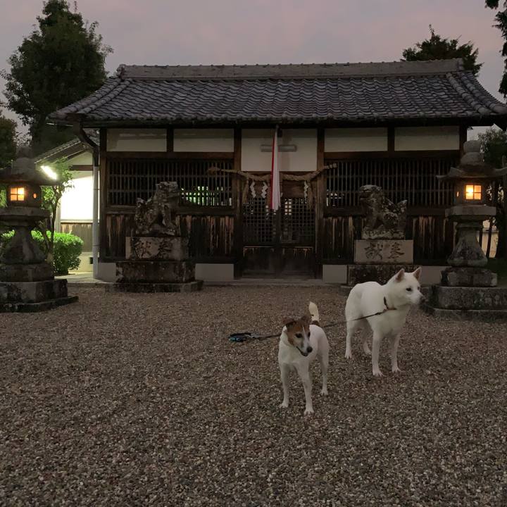 8e0b6f32 f46c 45eb 8c50 b45e91ec72fc 1574590400401