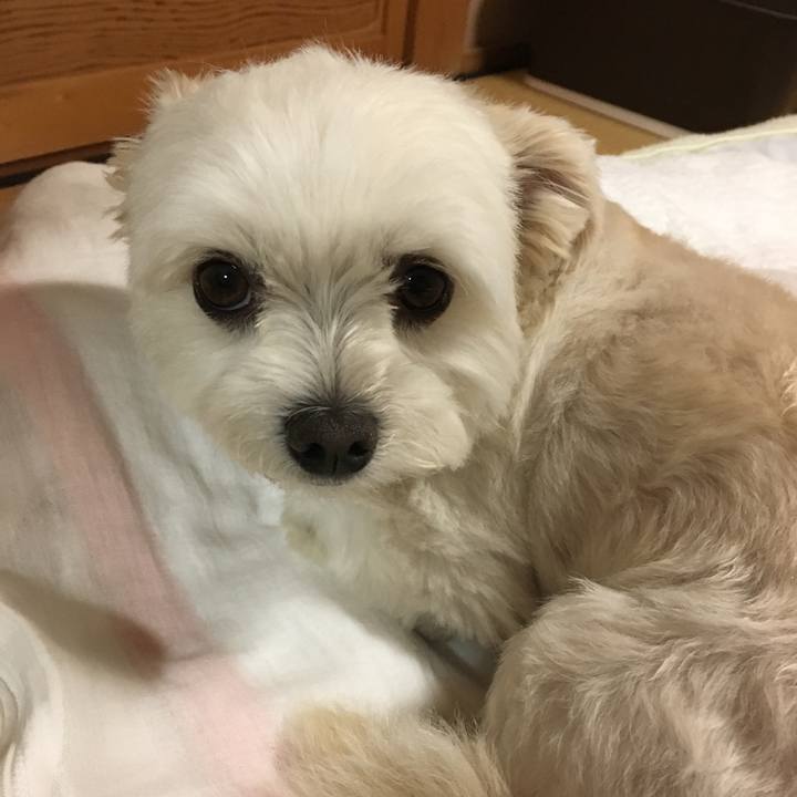 8e0b8755 a07d 44be 94ba a0b00bc7ac76 1527070712002