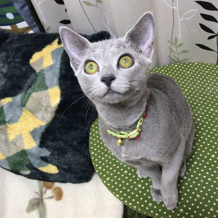 8e0bdabd 496b 4e46 bfdd 30bebced8556 1510911913503