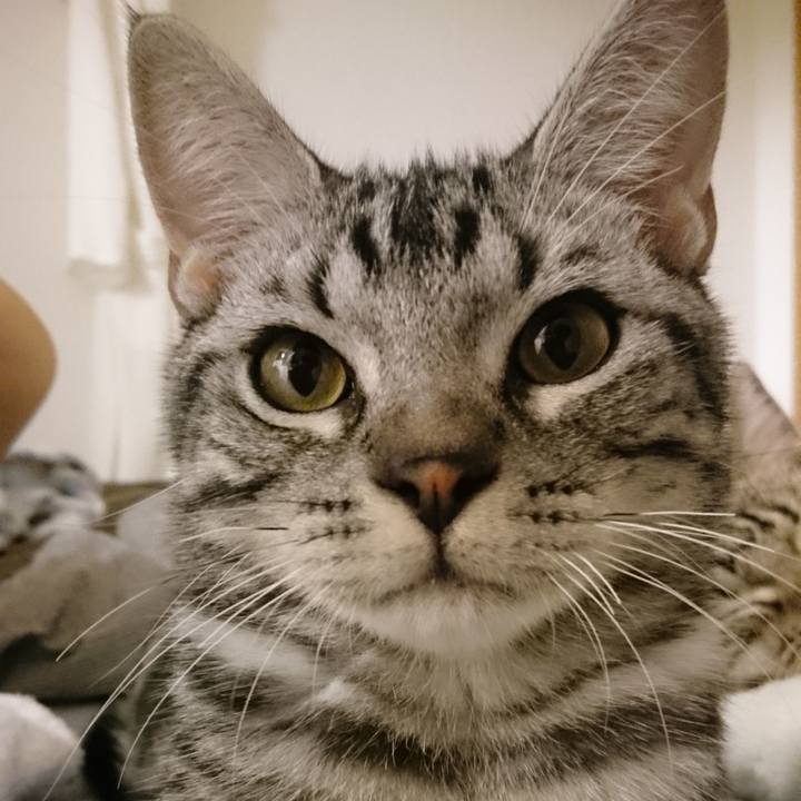 8e0bf572 219a 4469 87c7 50327948ea20 1744608799537