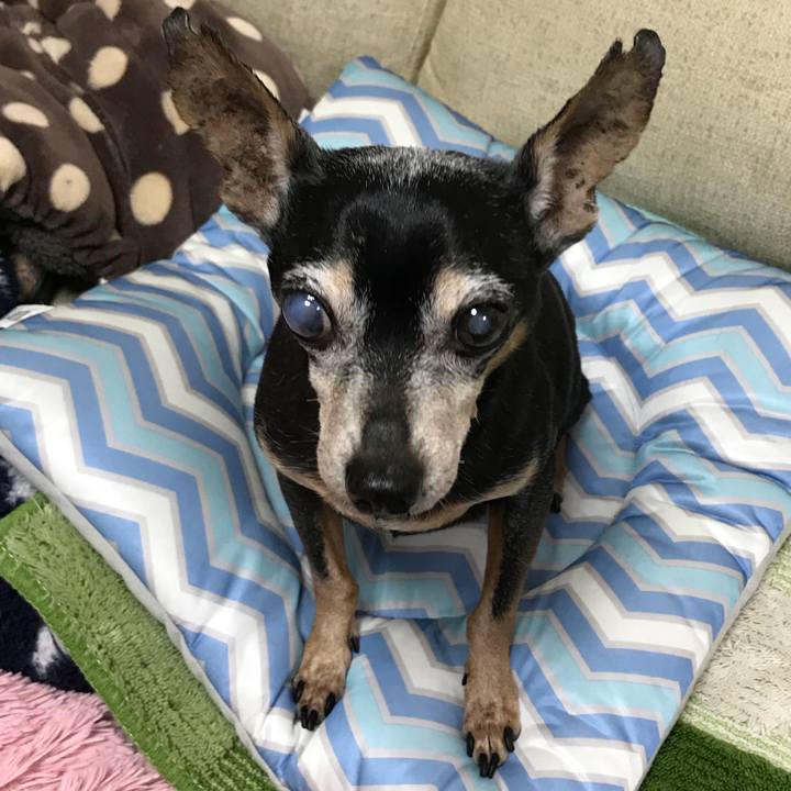 8e0bfc34 f398 4543 b3a3 9f1b064b753e 1572602651696