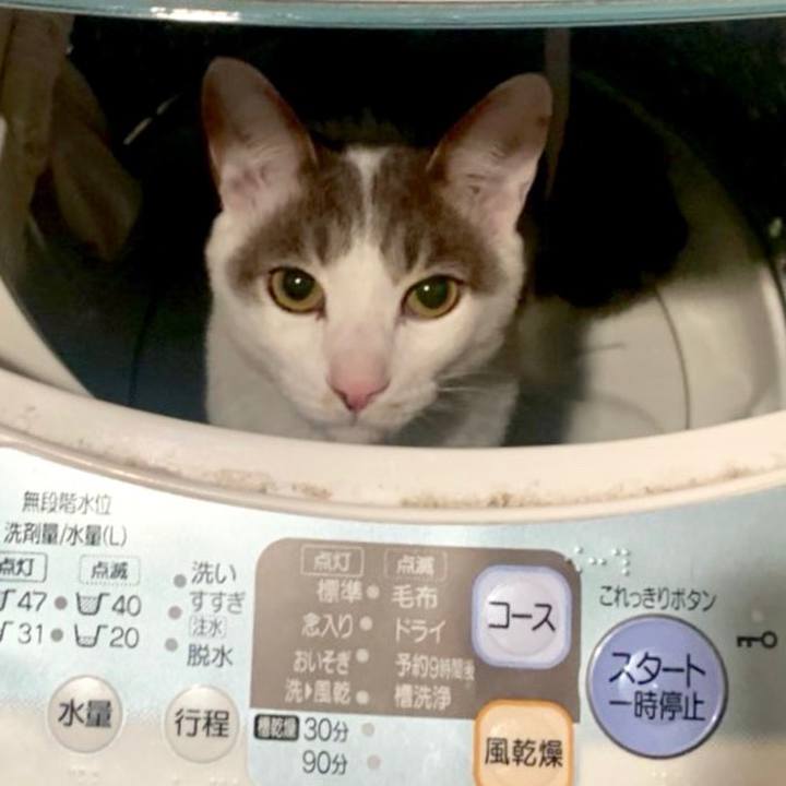 8e0c09fb 815c 4c6d a9a0 76edb804f136 1554298903383