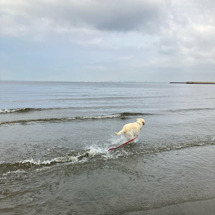 8e0c0e7a 1319 41bc a959 789bb4005aaa 1661378899064