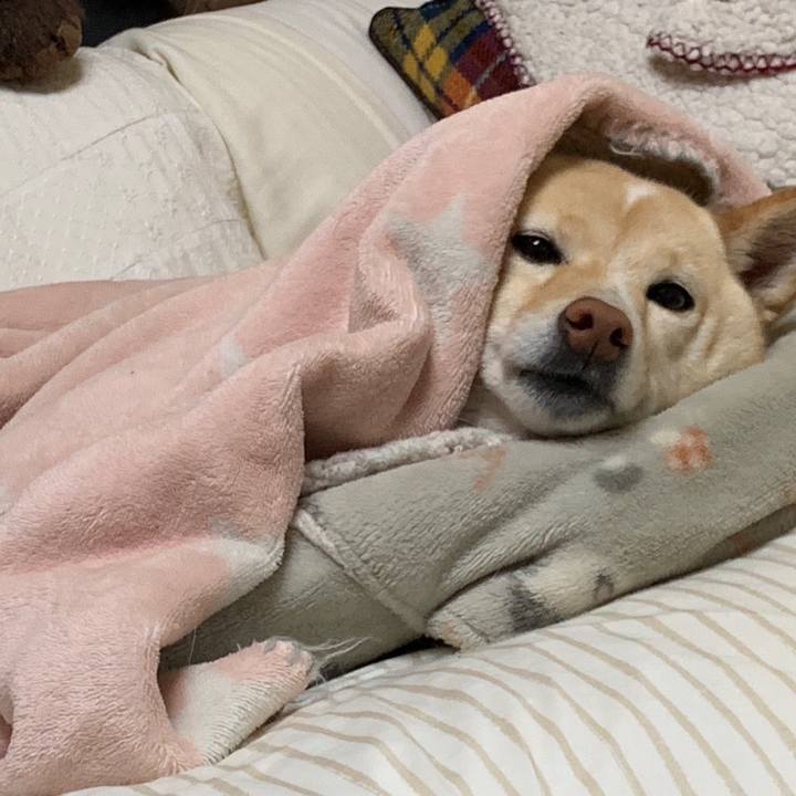 8e0c3037 1f87 4e64 8b8e 39d6c045fe68 1648474078828