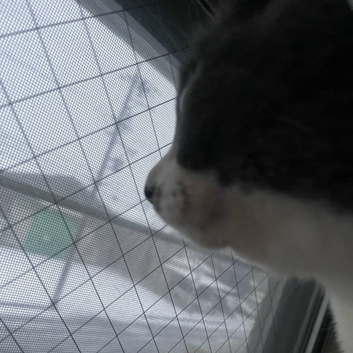 8e0c4dbd 55fc 40e3 b318 7268a1dbff79 1736459701574