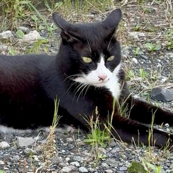 8e0c750d d6a4 4658 8a81 033f3c3a0fcd 1750146647543