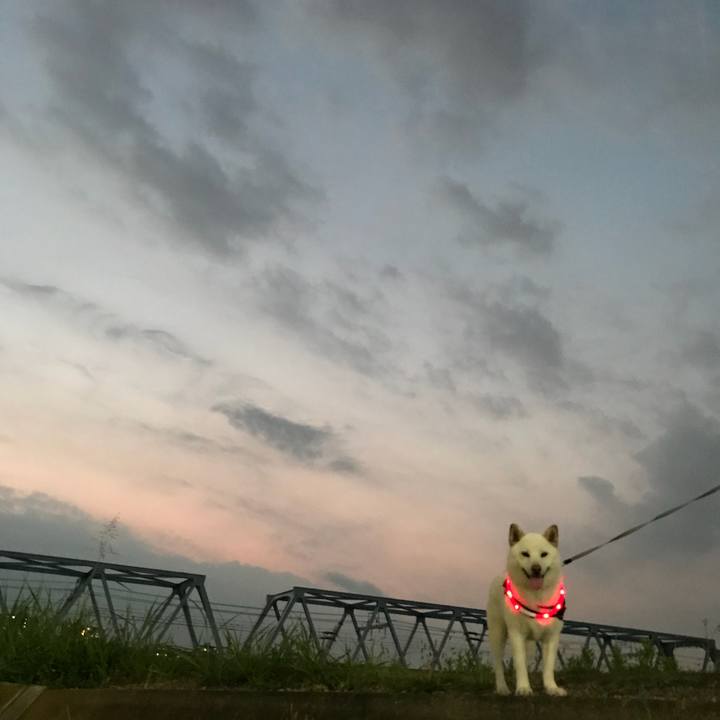 8e0c7bf5 2b2f 422d acf9 ae880593118c 1531564293740