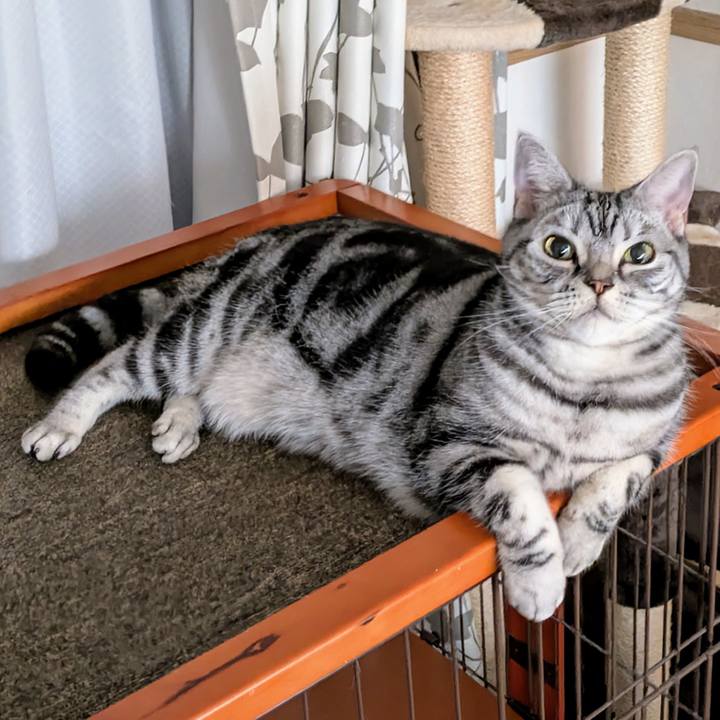 8e0cb8d9 397c 4983 8dda 2eebac82461d 1736287725950