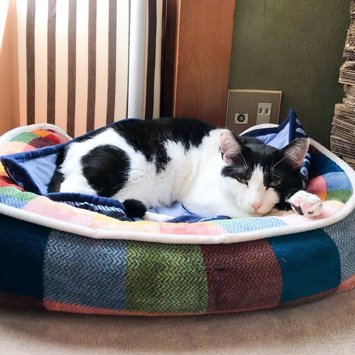 8e0cecb1 336a 46b6 a034 3377d9f02b3c 1525311511976