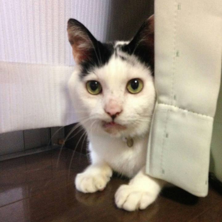 8e0d3c96 9f3f 4dd7 ba5c 4843d668992a 1596082885026