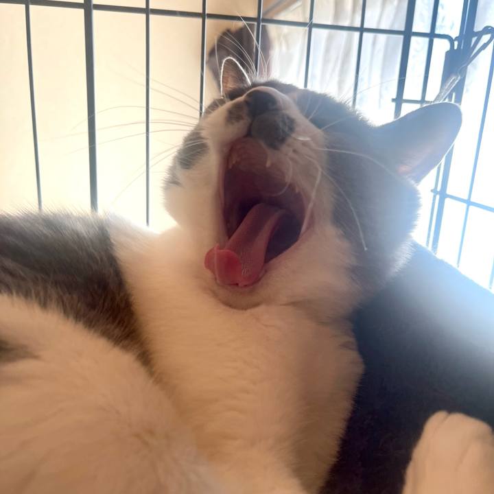 8e0d3d15 93e5 499c b2c0 748d10907675 1698535226970