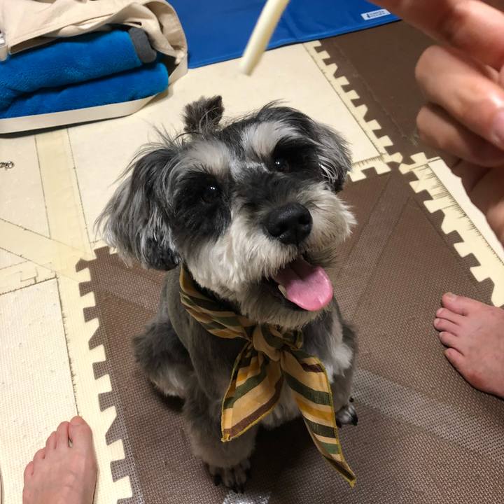 8e0d4089 55f2 463f 98a8 c6360a6dc1b7 1532597445001