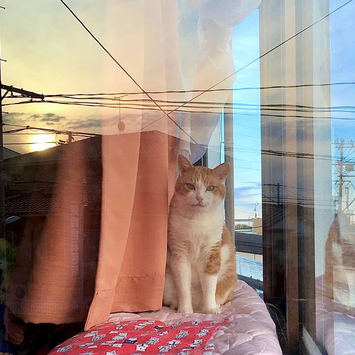 8e0d7fc5 e041 4f52 8c3e 4fc1008faef0 1584339193060