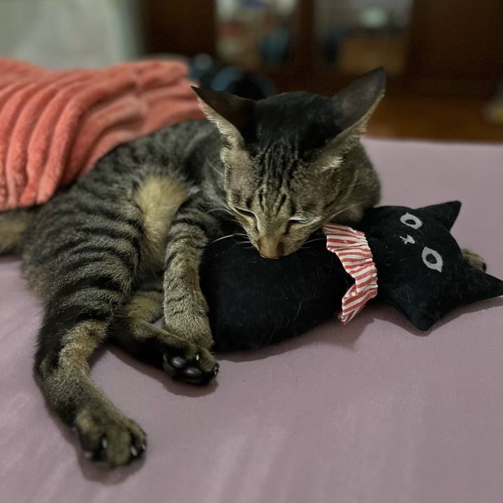 8e0dbfb9 9b5f 499f a76d 3f477ef31dd3 1764589799572