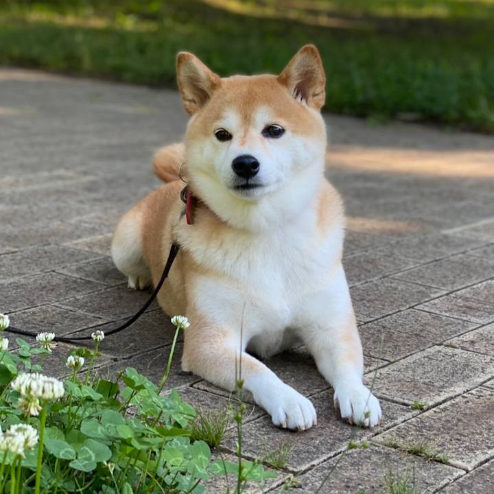 8e0de114 0edf 45ab 823c c70d83c71eaa 1624958462489