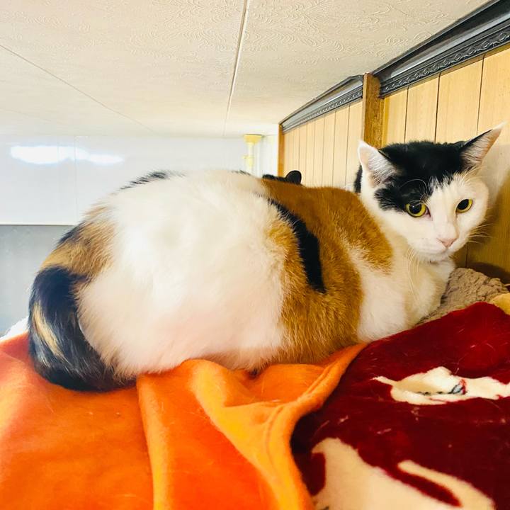 8e0e0c2d 655e 4f74 b144 87f6e54cf696 1703375276437