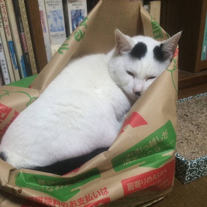 8e0ec332 4c94 4797 9703 4e095ed7d0e2 1541597187520