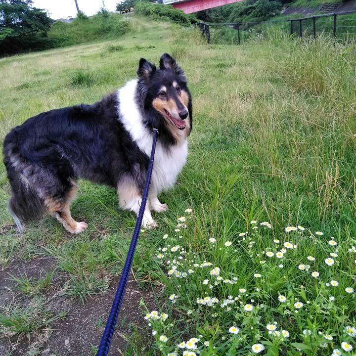 8e0ecb03 89b0 4697 9d79 c7fdeb95a7ac 1561724939980