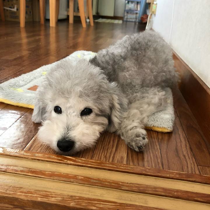 8e0f19a8 b884 485f ace0 69457d72fc67 1714092273781