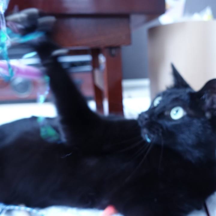 8e0f23b2 cfa2 4e47 a03a 3e0b9b377213 1516240074781