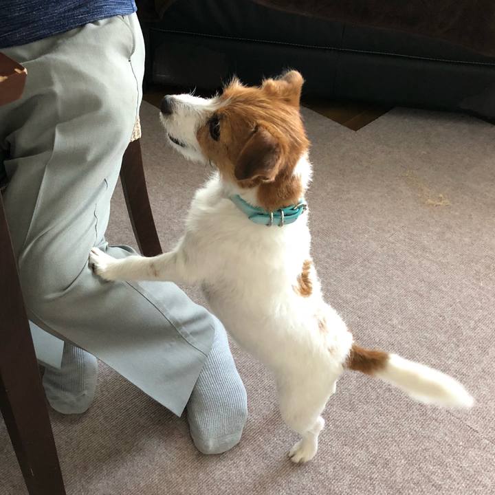 8e0f61ba 9c70 4b30 b1a6 c17f52b8dd3b 1533665951093