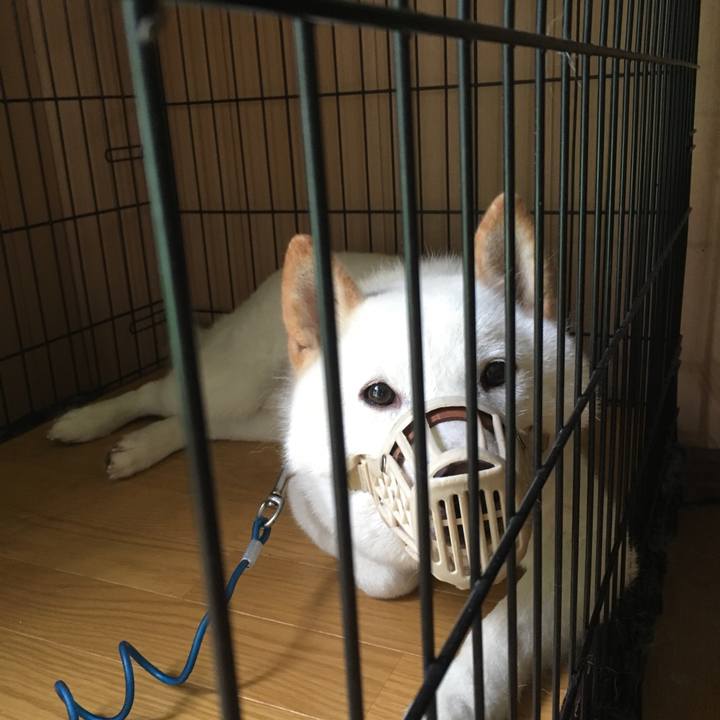 8e0f65ce e411 4075 a45a dccbbd56a413 1532556748629