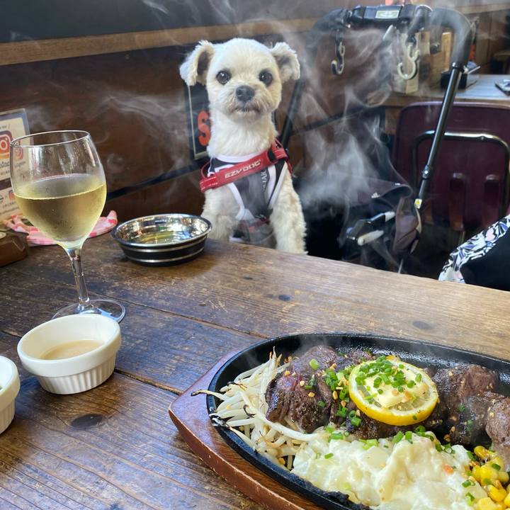 8e0f8d7a d914 4705 9727 678a60bb2a7a 1633166636204