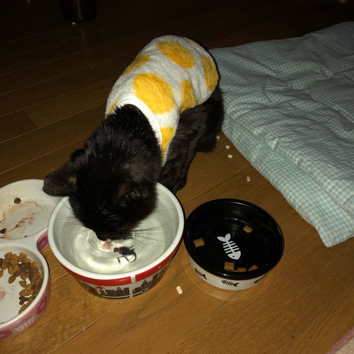 8e0fbb0f 09be 423e 8d76 c8d75391534a 1558039914127