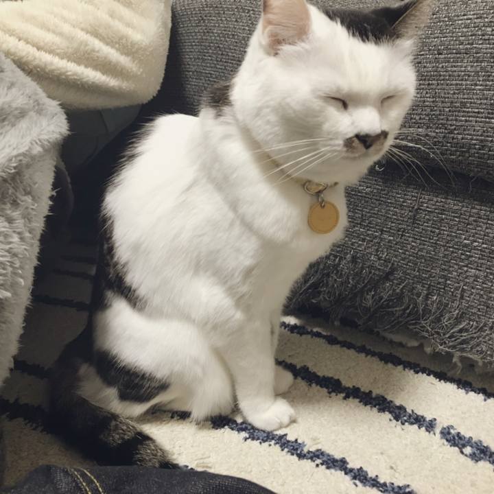 8e0fdd86 cedc 43e7 93f9 8664915c45a5 1545198687076